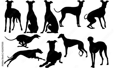 Vetor De Greyhound Dog Svg Files Cricut Silhouette Clip Art Vector