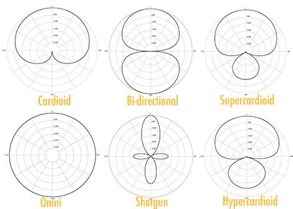 What Are Microphone Polar Patterns — And Why They Matter, 43% OFF