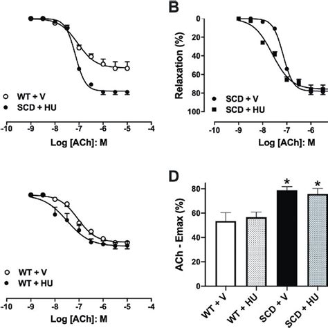 A C Concentration Response Curves To Acetylcholine Ach In Corpus