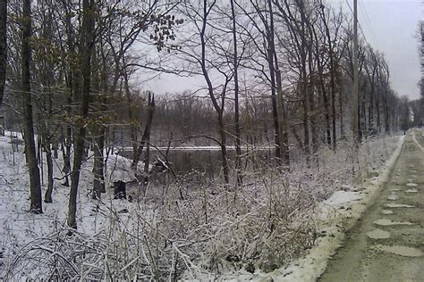 Frozen Pond And Snow Covered Trees Along A Rural Road In Warrenton Missouri