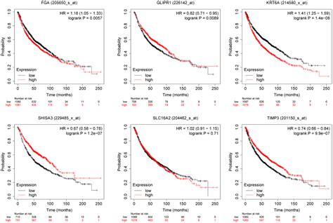 Keratin 6A KRT6A Promotes Radioresistance Invasion And Metastasis