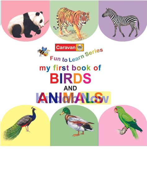 Fun To Learn Series My First Book Of Birds And Animals Kitaabnow