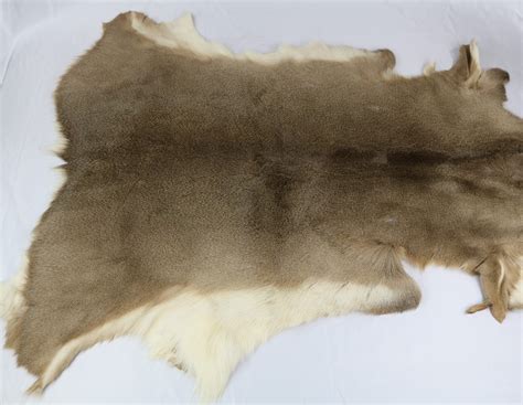 3 Time-Tested Methods To Tame The Wild: A Guide To Curing Deer Hides With Hair