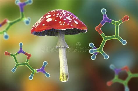 Vlieg Agarische Paddenstoel Amanita Paddenstoel En Molecuul Van