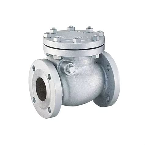 Buy Flowtek 1 57 Inch 40 Mm Cast Steel Non Return Swing Check Valve