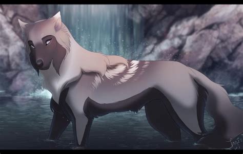 Tazihound User Profile Deviantart Canine Art Wolf Dog Anime Wolf