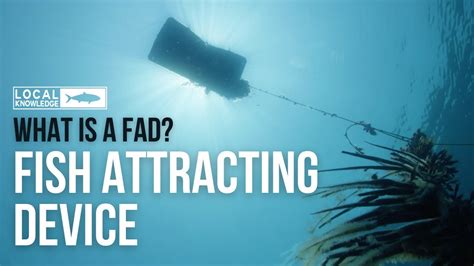 What Is A FAD Fish Aggregating Devices YouTube