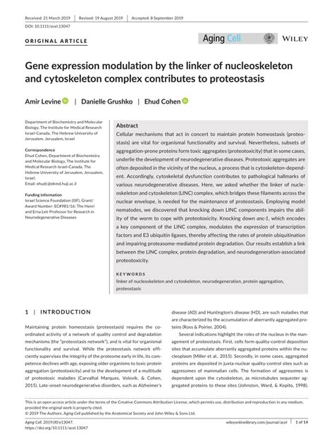 Pdf Gene Expression Modulation By The Linker Of Nucleoskeleton And