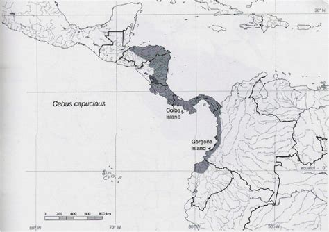 Distribution Of Cebus Capucinus Fragaszy Et Al 2004 Download