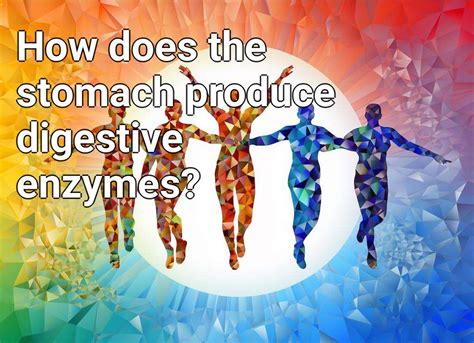 How does the stomach produce digestive enzymes? – LifeExtension.Gov.Capital