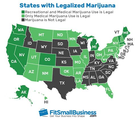 Cannabis Insurance Cost Coverage Providers