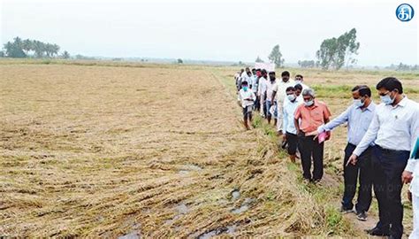 மயிலாடுதுறையில் பயிர் பாதிப்புகளை ஆய்வு செய்ய குழு Dinakaran