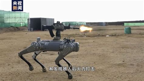 China deploys robot dogs during military exercise with Cambodia