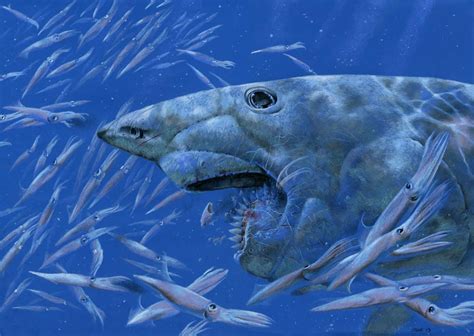 Helicoprion | Dinosaurs - Pictures and Facts