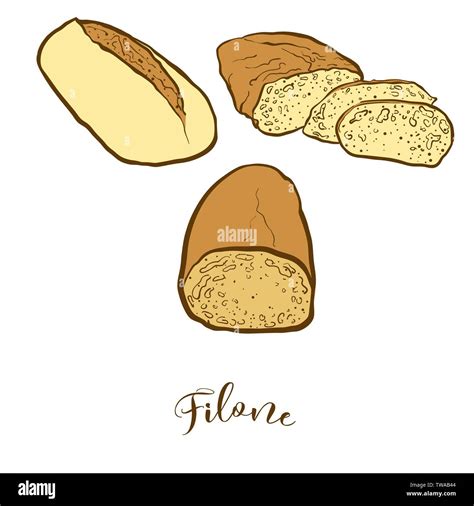 Bocetos De Color Filone Pan Dibujo Vectorial De Alimentos Fermentados