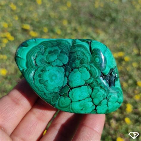 Malachite Naturelle Polie Pierre De Collection Du Congo