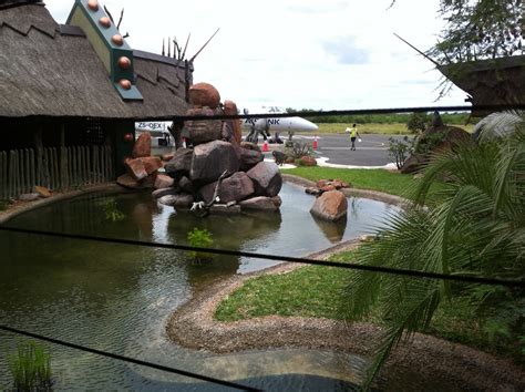 Phalaborwa Airport Pond Gary Karnes Flickr