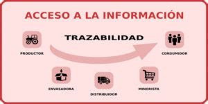 Qué debe contener la base de datos e identificación en un proceso de