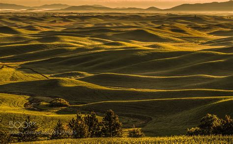 palouse summer sunrise 4 palouse summer sunrise. hours of waiting agin for a few frames ...