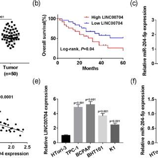 The Relative Expression Of Linc And Mir P In Ptc Tissues And