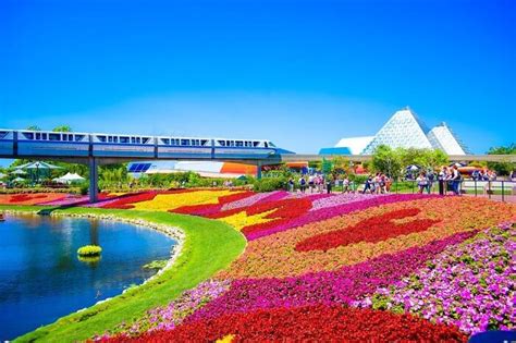 Best Family Resorts in Orlando, Florida for Disney World