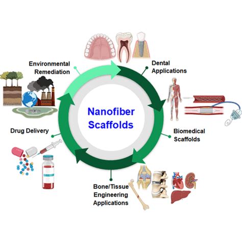 Biomaterials Market Size To Surpass Usd Billion By