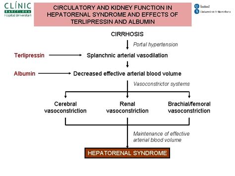 Sindrome Hepatorrenal Iv Curso Para Residentes De La