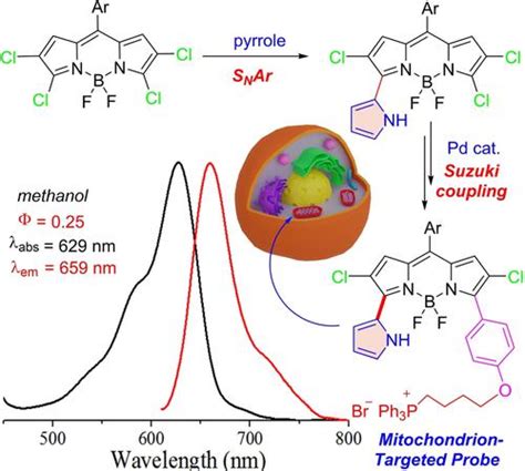 Red To Near Infrared Emitting PyrrolylBODIPY Dyes Synthesis