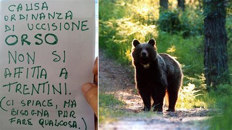 Abbattimento Dellorso Jj In Puglia Spunta Un Cartello Non Si