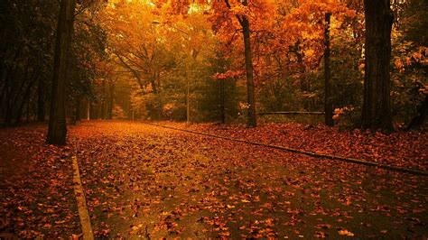 Nature Atpeek Search Engine Autum Nature Fall Nature Hd Wallpaper Pxfuel