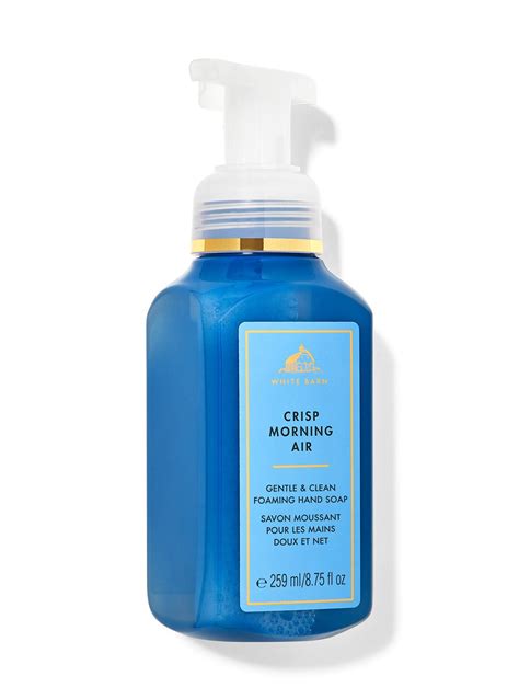 Crisp Morning Air Gentle And Clean Foaming Hand Soap Bath And Body Works