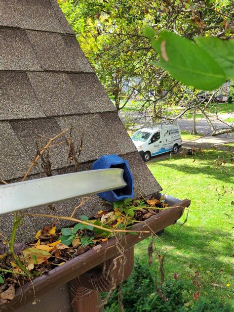 how much should i pay to have my gutters cleaned