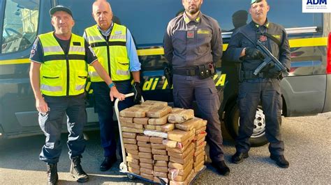 Porto Di Livorno Sequestrati 180 Kg Di Cocaina Purissima