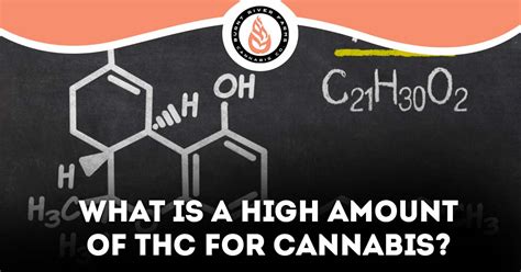 Is High THC Weed More Potent Cannabis With High Levels Of THC