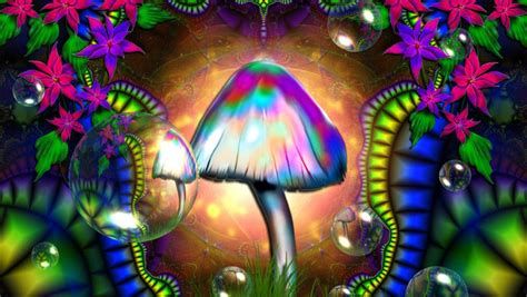 Magic Mushrooms Wallpapers Wallpaper Cave