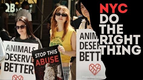 Petition · Strengthen New Yorks Animal Cruelty Laws Enact The