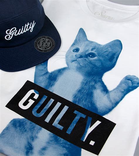 Guilty Cat on Behance