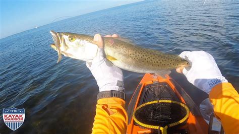 Throwing Artificials Trying To Catch Big Fish Kayak Fishing Cockroach