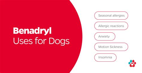 Can You Give Dogs Benadryl Benadryl For Dogs Pet Parents®