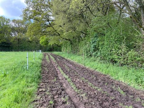 Did Some Buffalo Pass This Way Mr Ignavy Cc By Sa 2 0 Geograph