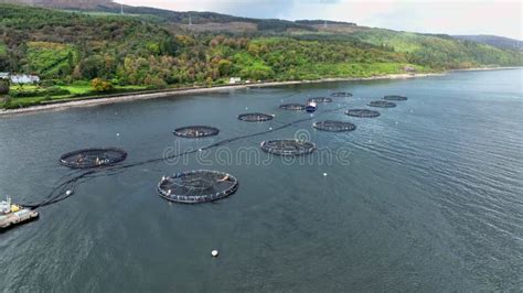 Sea Farm Aquaculture Nets In The Ocean Used For Intensive Fish Farming