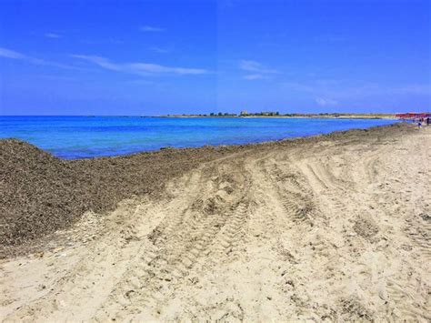 Ex Lido Poste Invaso Dalla Posidonia