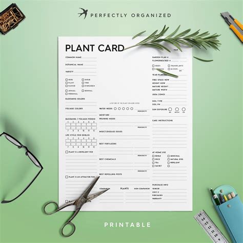 Plant Card Editable Pdf Plant Identification Card Plants Etsy