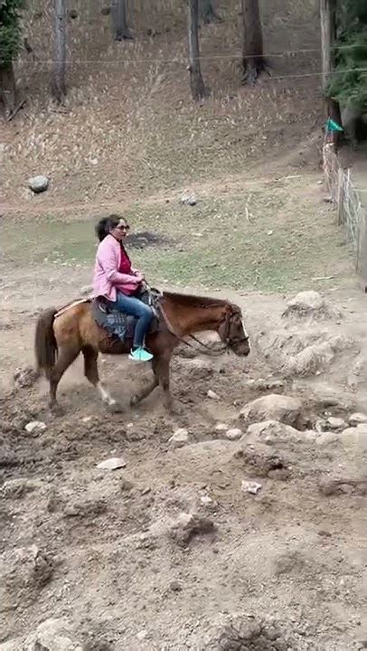 Pahalgam Kashmir Horse Ride Youtube