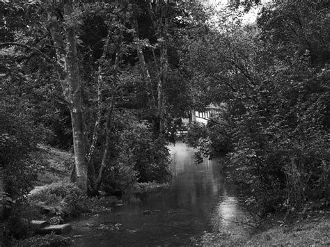 Lautertal Germany Amselchen Flickr