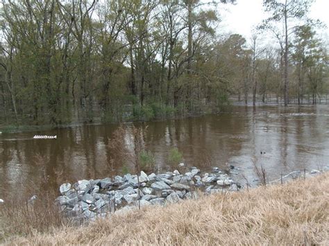 Trash Withlacoochee River Flood Stage 27 February 2013 Pic Flickr