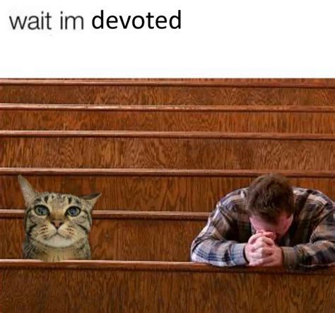 Wait I'm Goated: Image Gallery | Know Your Meme 