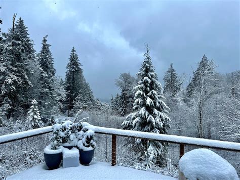 Photos: Western Washington snow on Dec. 20, 2022 photo 12