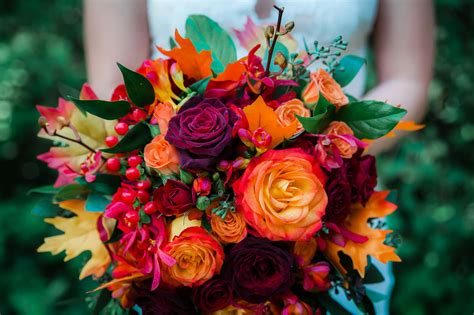 assorted colored flowers  stock photo