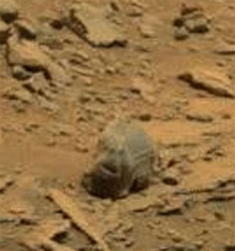 Big Foot On Mars Alien Hunters Make Shock Claim Of Yeti Skull Found On